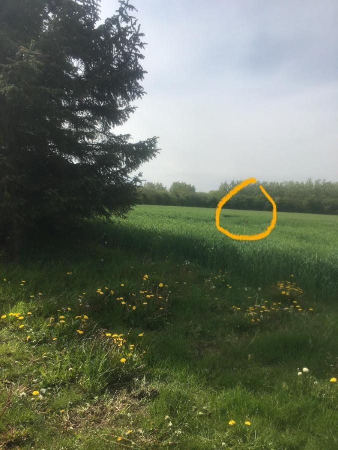 Jægergård Villa Skærbæk Eksteriør billede